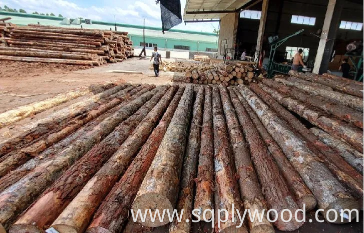 Fabricado En China 18mm Laminated/Melamine Plywood with Wood Grain for Cabinet